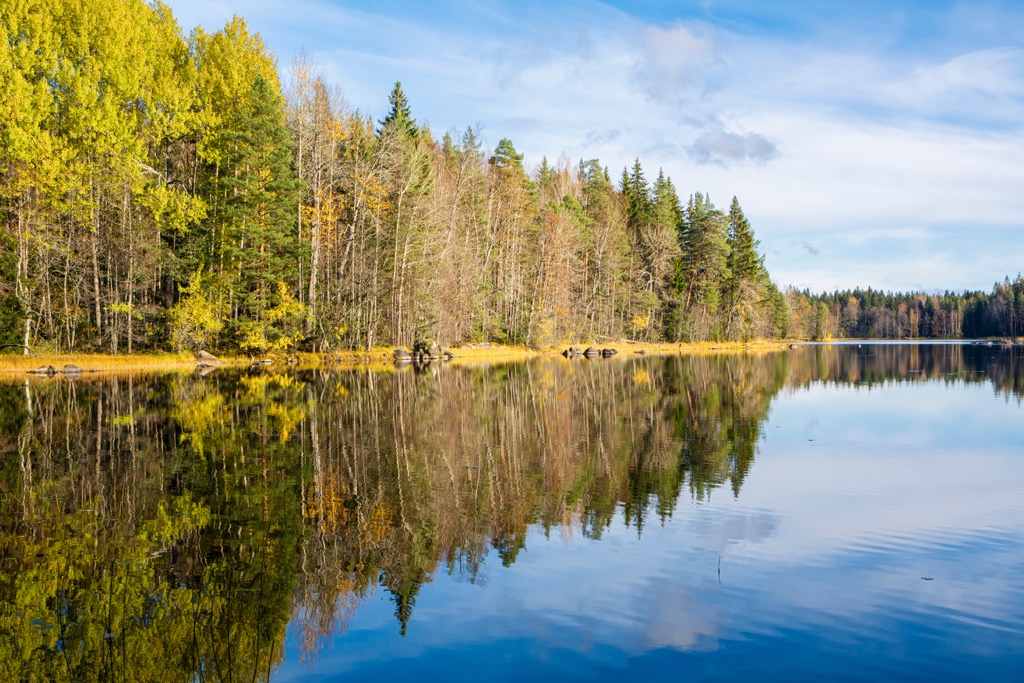 Liesjärvi National Park, Kanta-Häme or Tavastia Proper , Finland