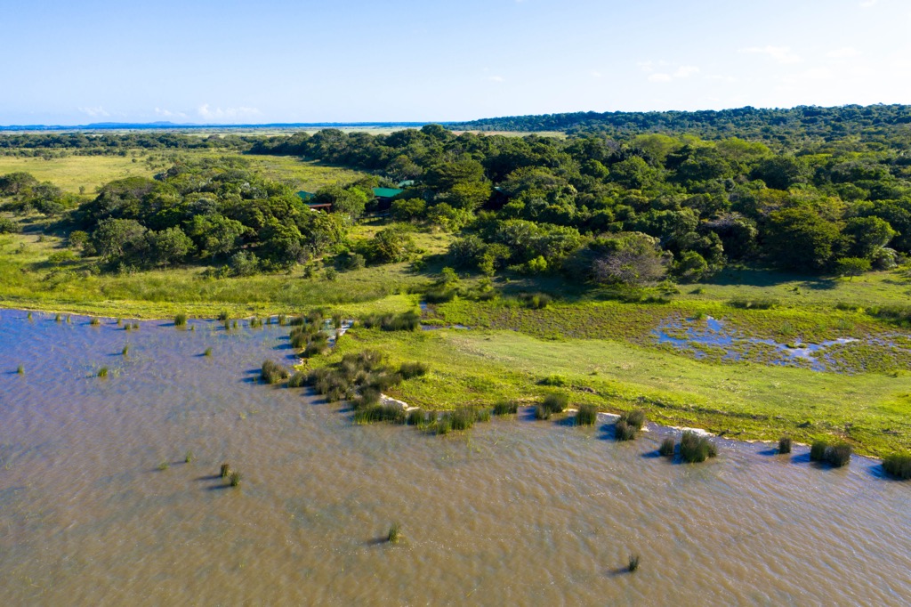 iSimangaliso Wetland Park offers a mosaic of diverse species and ecosystems. KwaZulu-Natal