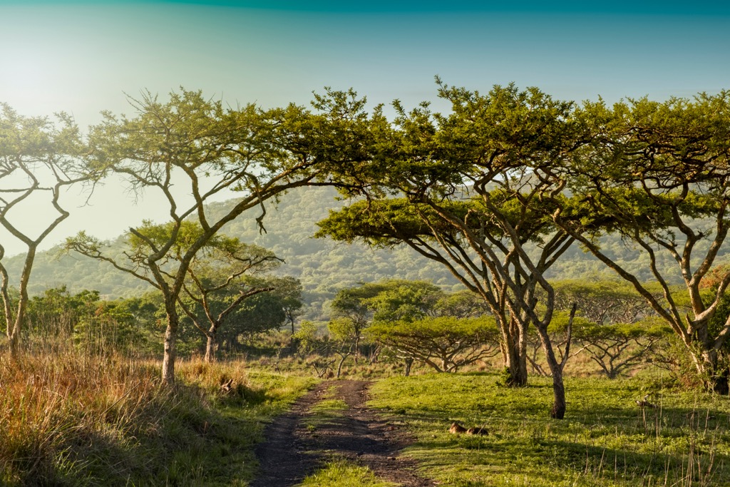 A 4x4 track in the foothills of the Drakensberg Mountains. KwaZulu-Natal