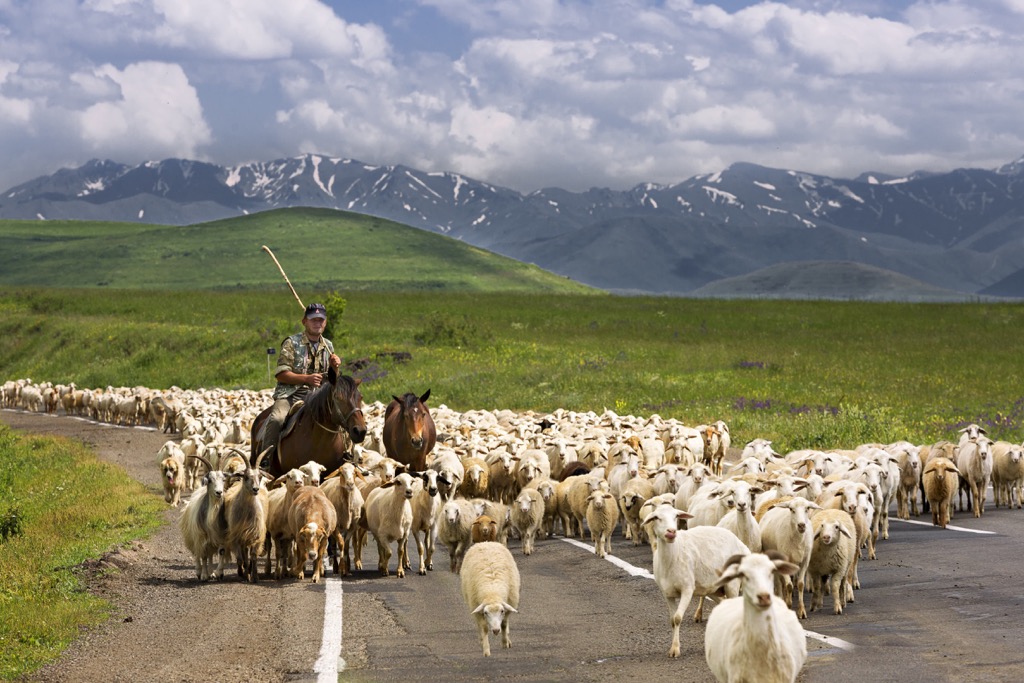 On the road, in Goris, Lesser-Caucasus, Armenia