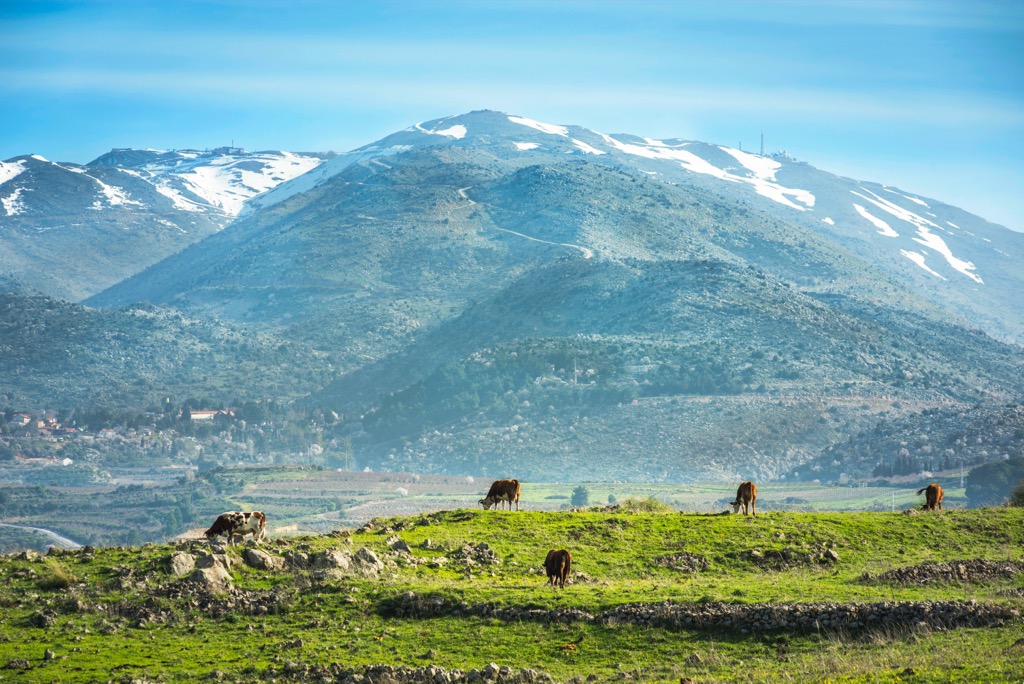 Mount Hermon (Jabal al-Shaykh) (2,814 m / 9,232 ft). Levant Ranges