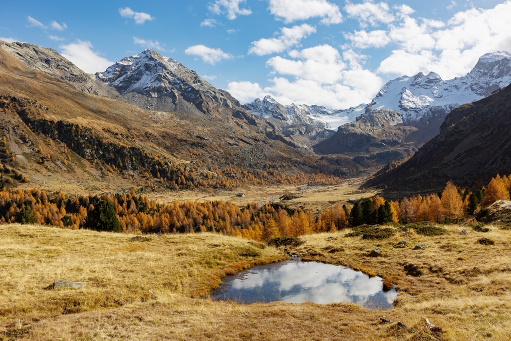 Val Viola in autumn. Livigno Alps