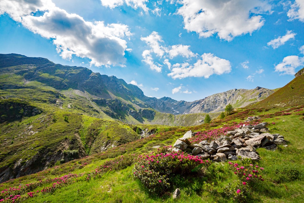 Val Grosina in the summer. Livigno Alps