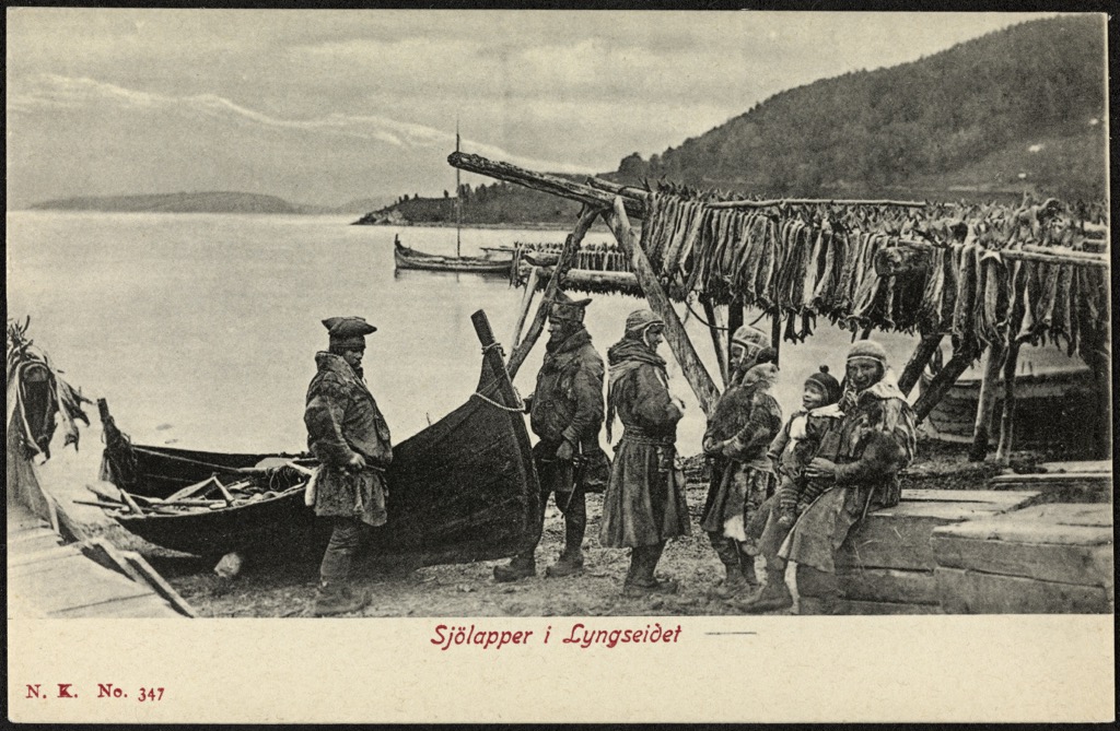 Sámi fishermen in Lyngseidet drying their harvest on large racks. Lyngen Alps