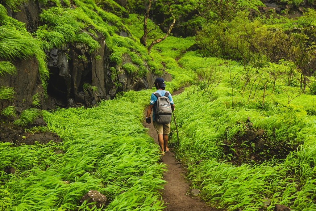 Hiking in Karnala, Maharashtra. Maharashtra Mountains