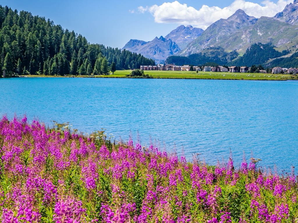 Sils-Maria, Maloja, Switzerland