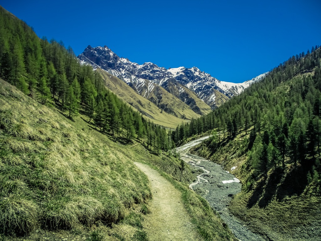 Swiss National Park, Maloja, Switzerland