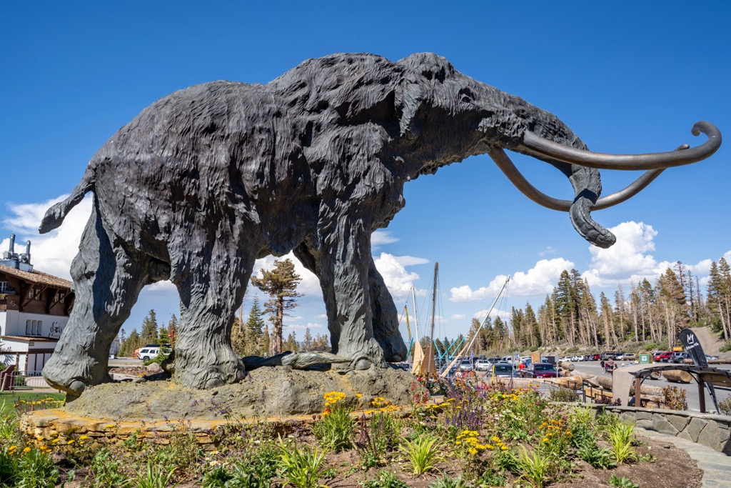 Mammoth Mountain, California