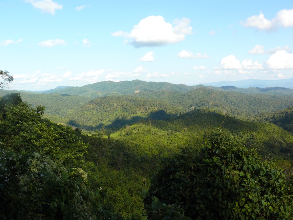 The forests of Yangoupokpi Lokchao Wildlife Sanctuary. Manipur Mountains
