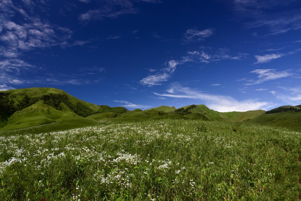 The exquisite Dzukou Valley. Manipur Mountains