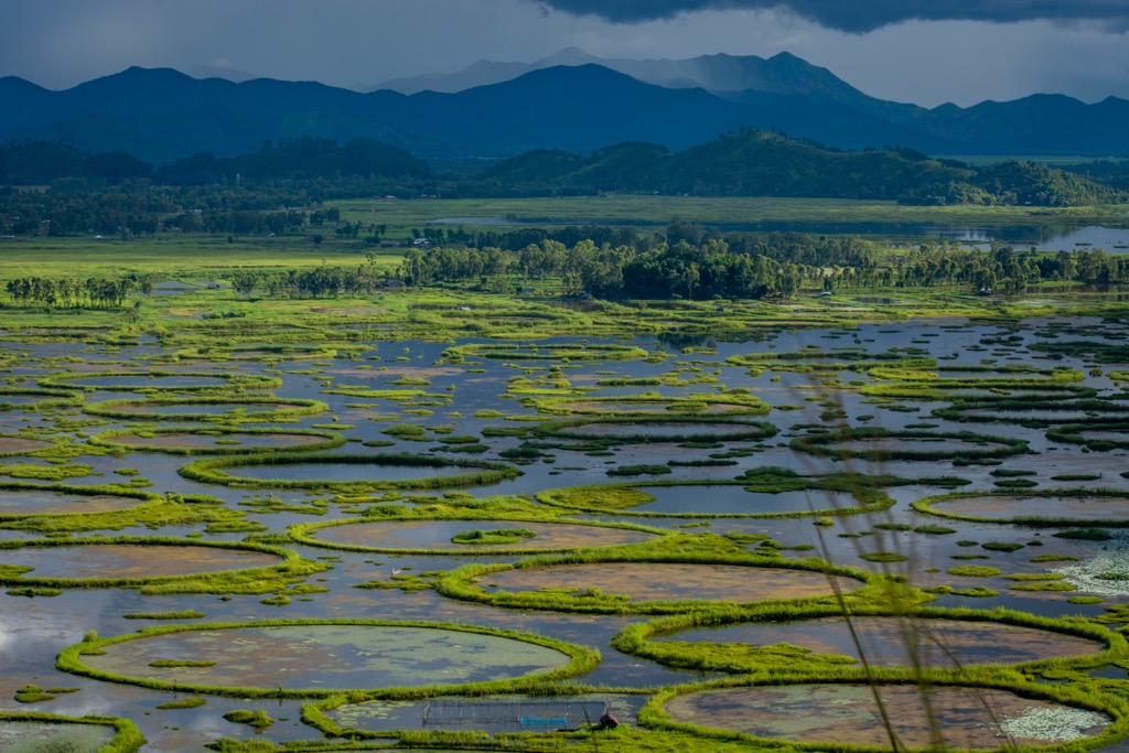 The “floating” Keibul Lamjao National Park. Manipur Mountains