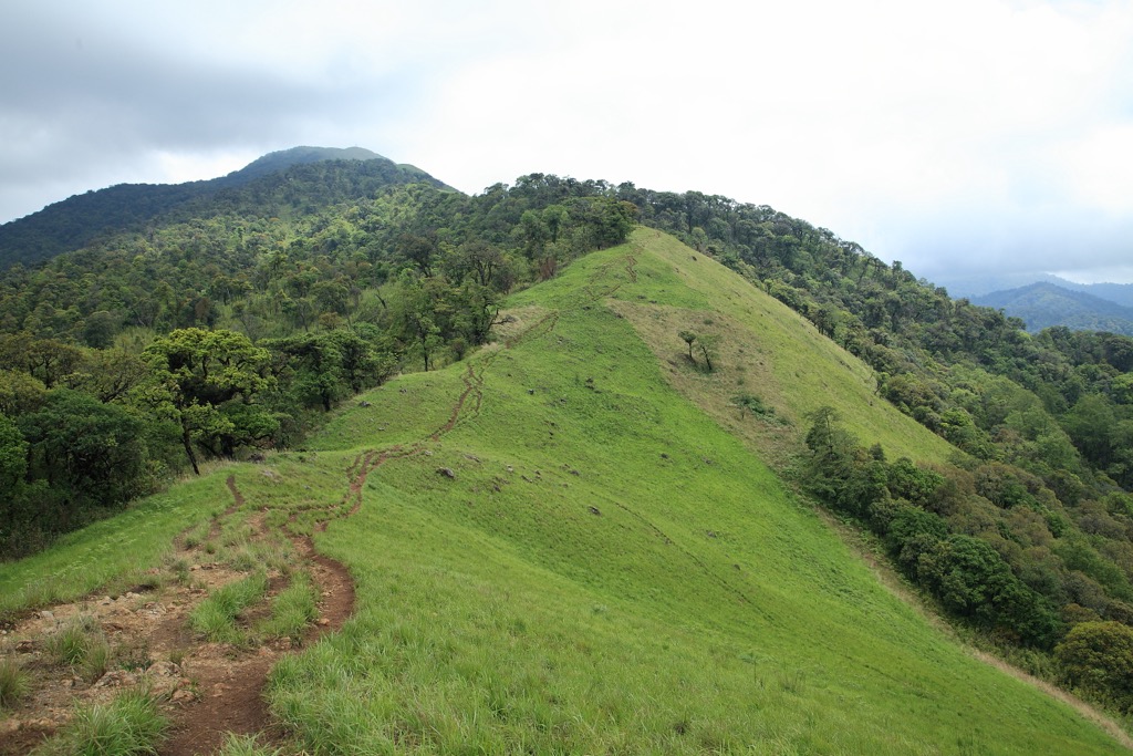 Hiking trails in the Shirui Hills. Manipur Mountains