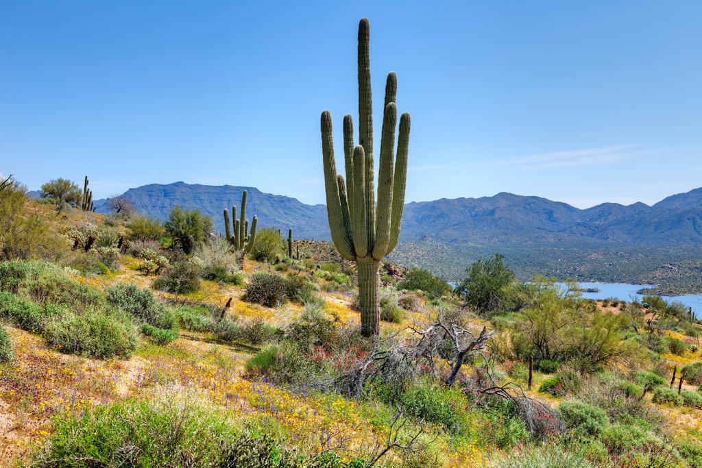 Mazatzal Mountains, Arizona