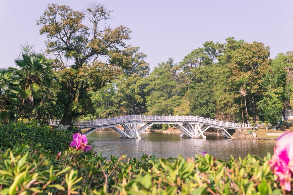 Ward’s Lake, where the wild and urban meet