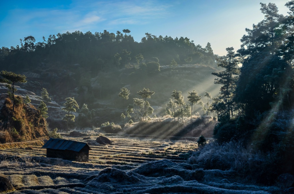 Morning frost on a cold winter morning in Mylliem, Meghalaya