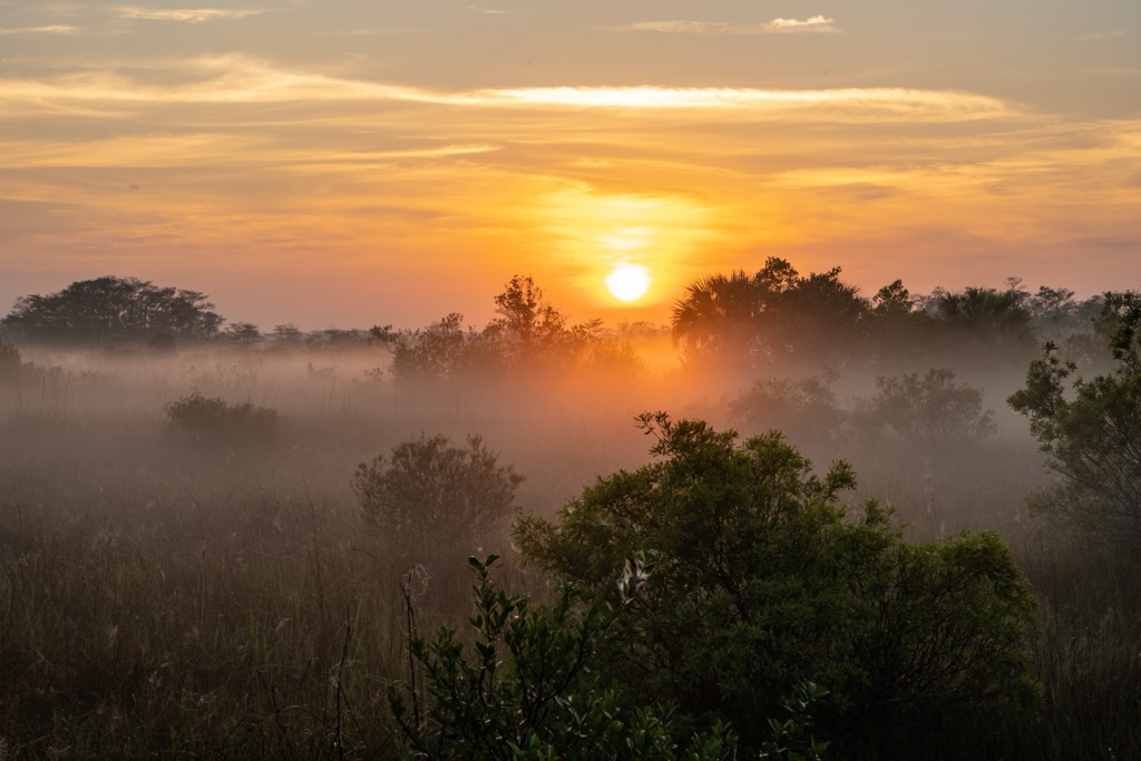 The Everglades are one of America’s national treasures. Miami-Dade County