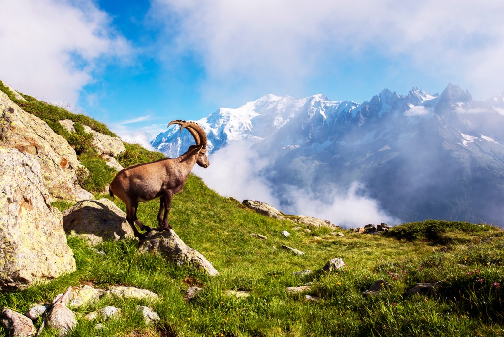 Mont Blanc Massif