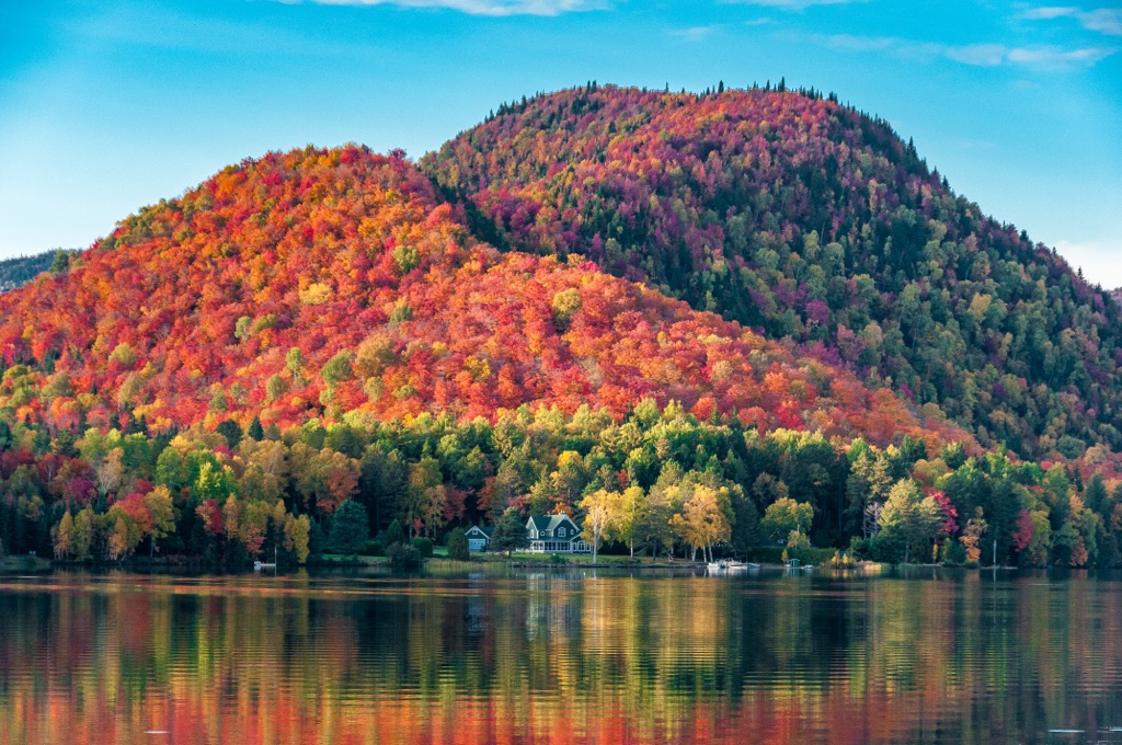 The Laurentians and Mont Tremblant National Park are also the perfect destination for leaf peepers, when the maple trees erupt into a grand display each autumn. Mont Tremblant Ski Resort