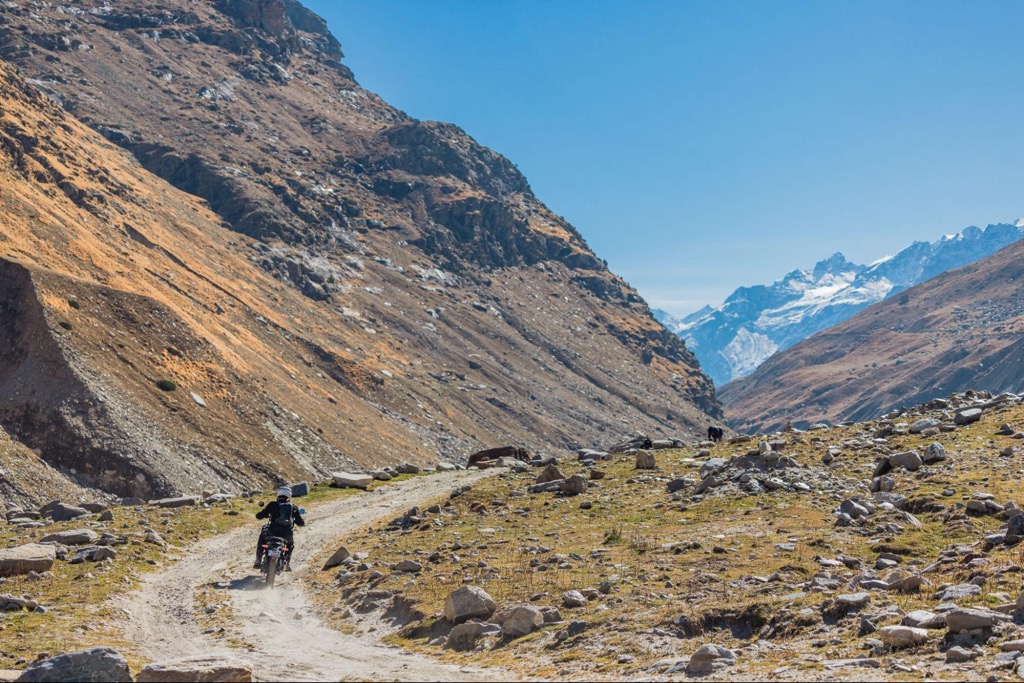 Small displacement bikes are ¼ or less of an SUV's fuel consumption
