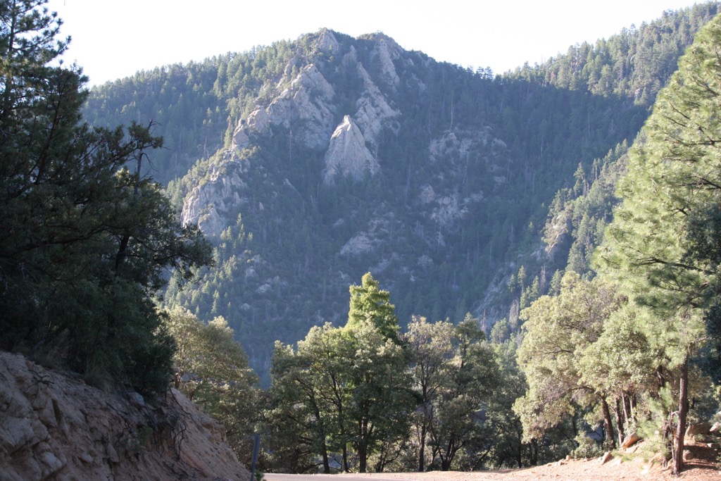 Mount Graham, Pinaleno Mountains, Arizona, USA