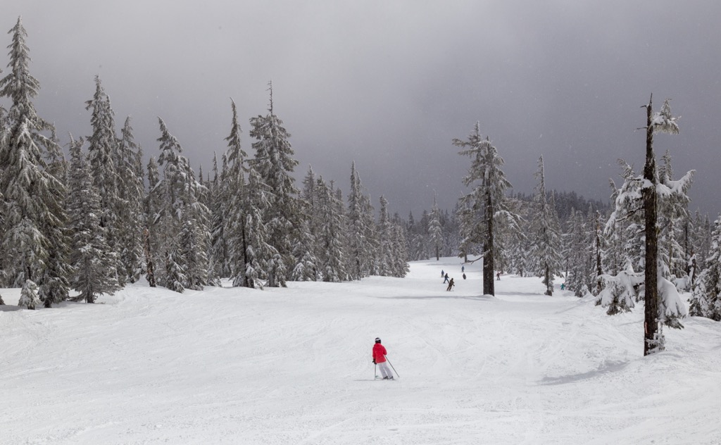 Mt. Hood Meadows, Oregon