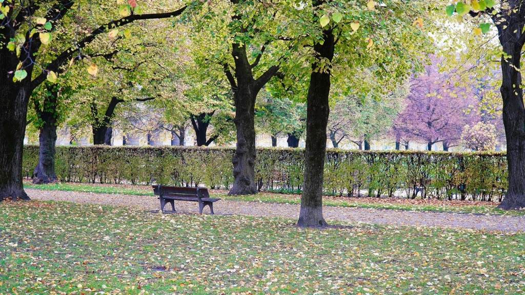 Autumn in Munich. Munich Mountains