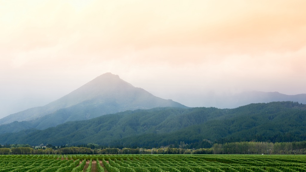 fertile valley, Nelson, New Zealand