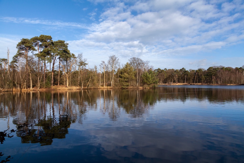 lake, Netherlands