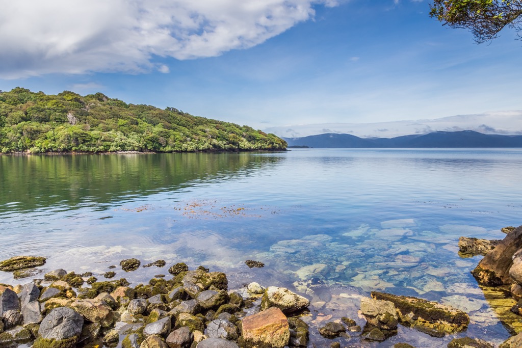 Stewart Island, New Zealand