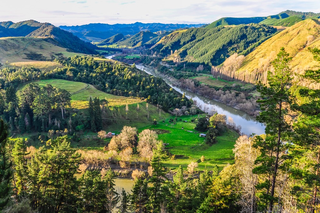 Whanganui National Park, New Zealand
