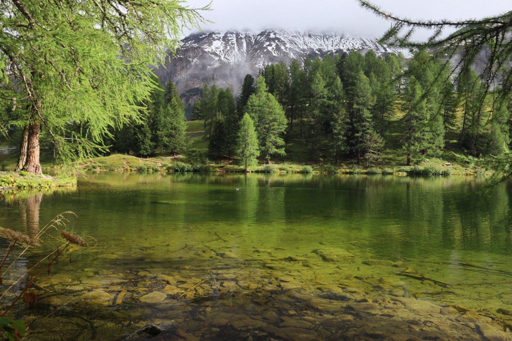 Park Ela is Switzerland’s largest nature park. Oberhalbstein Alps