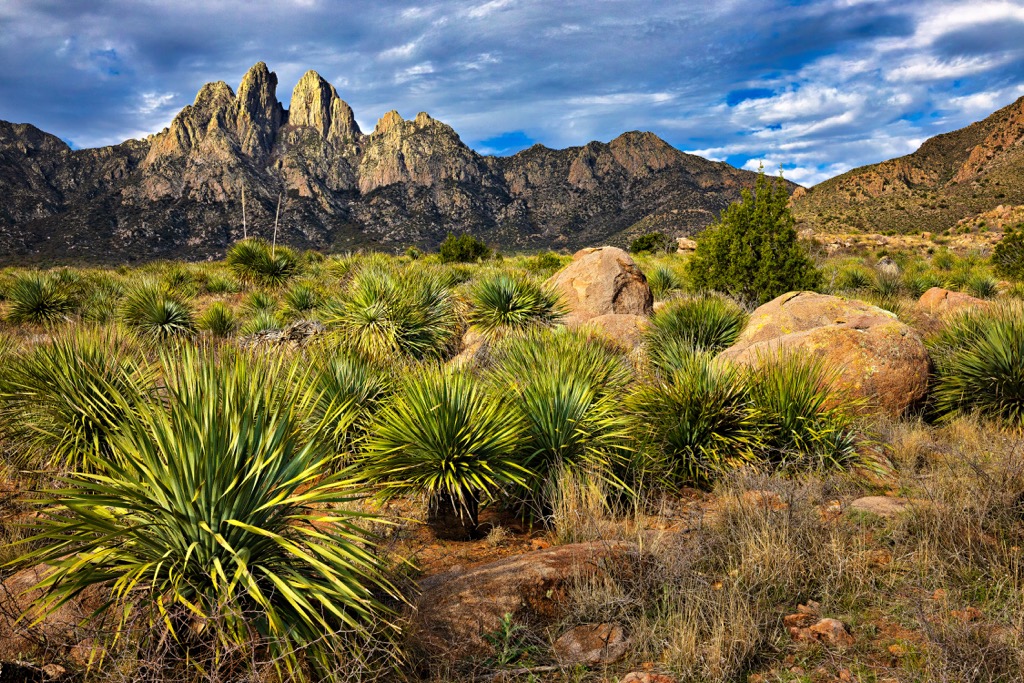 Organ Mountains, New Mexico