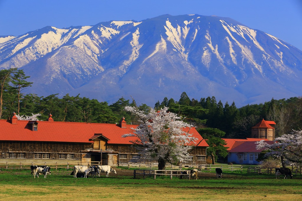Iwate and farm, Ōu Mountains, Japan