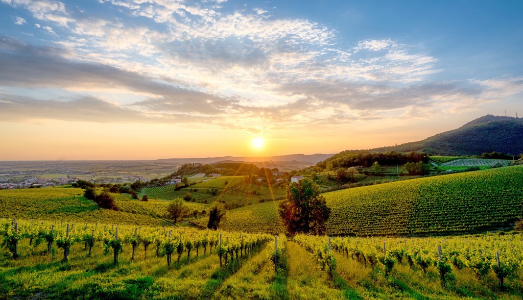 Euganean Hills, Padova, Italy