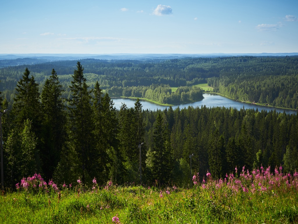 Sappee, Pirkanmaa, Finland