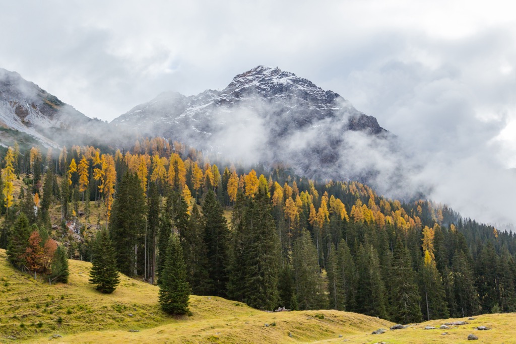 The floor of the Schanfigg Valley. Plessur Alps