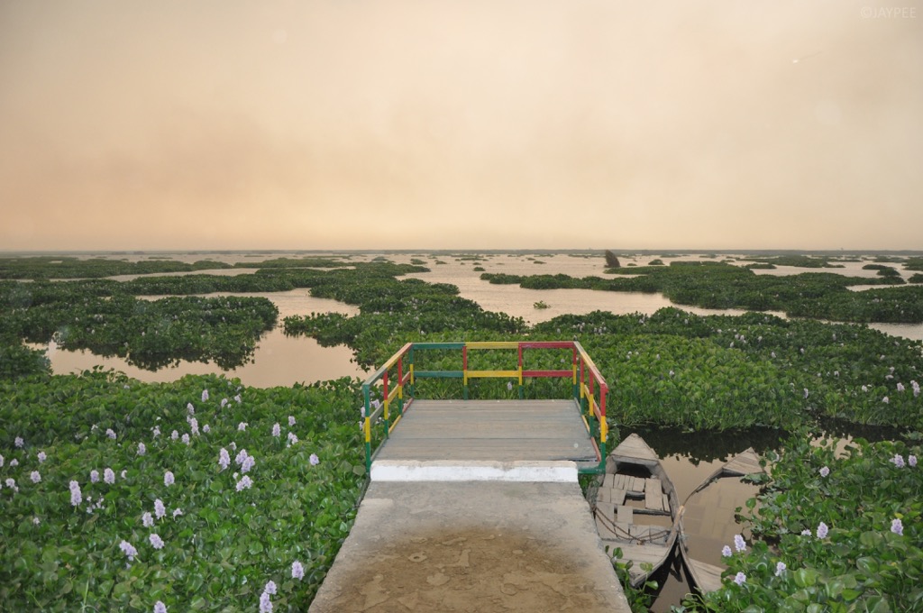 The Harike Wetland. Punjab Mountains