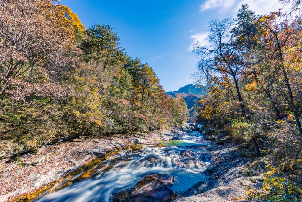 Qinling Mountains, China