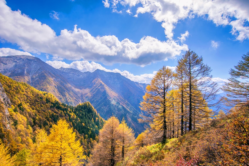 Qinling Mountains, China