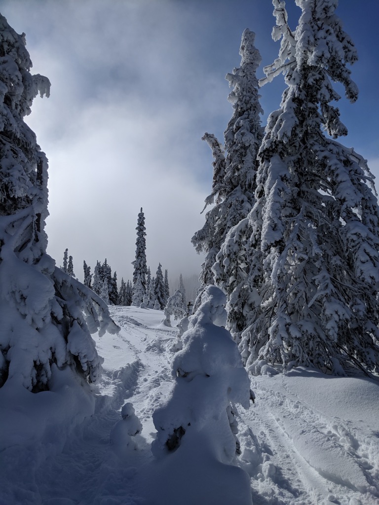 Tree skiing at RED Mountain. RED Mountain Resort