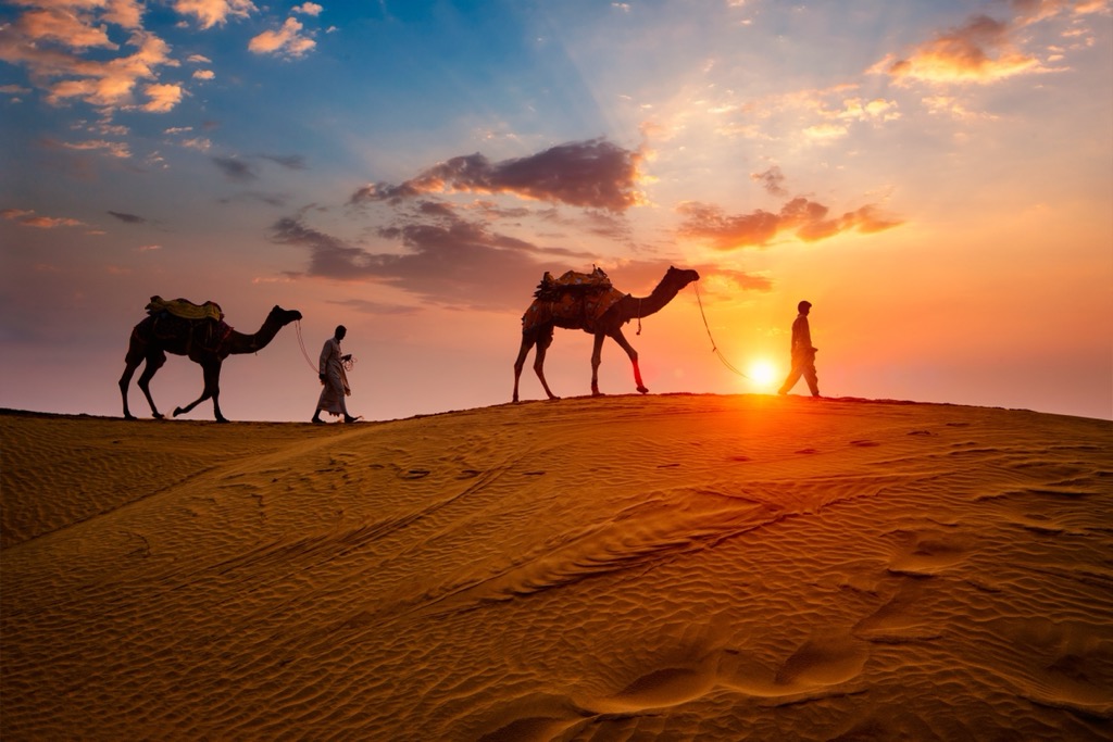 A caravan on the sand dunes of Jaisalmer. Geography