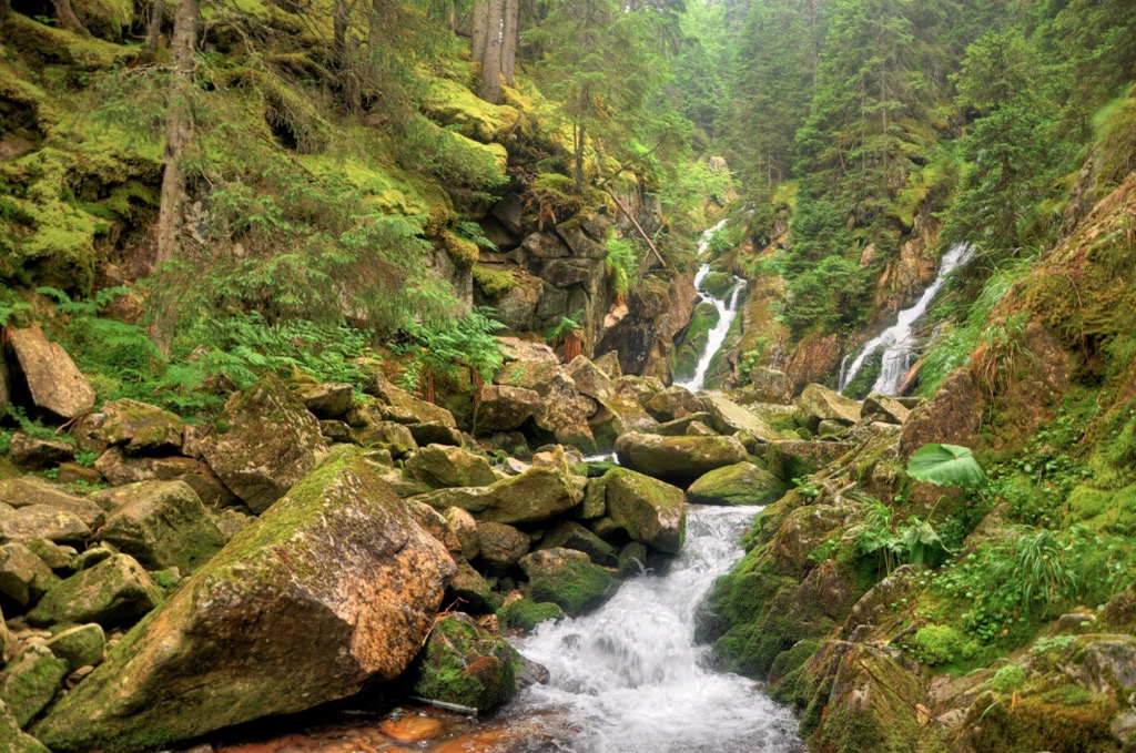 Retezat National Park