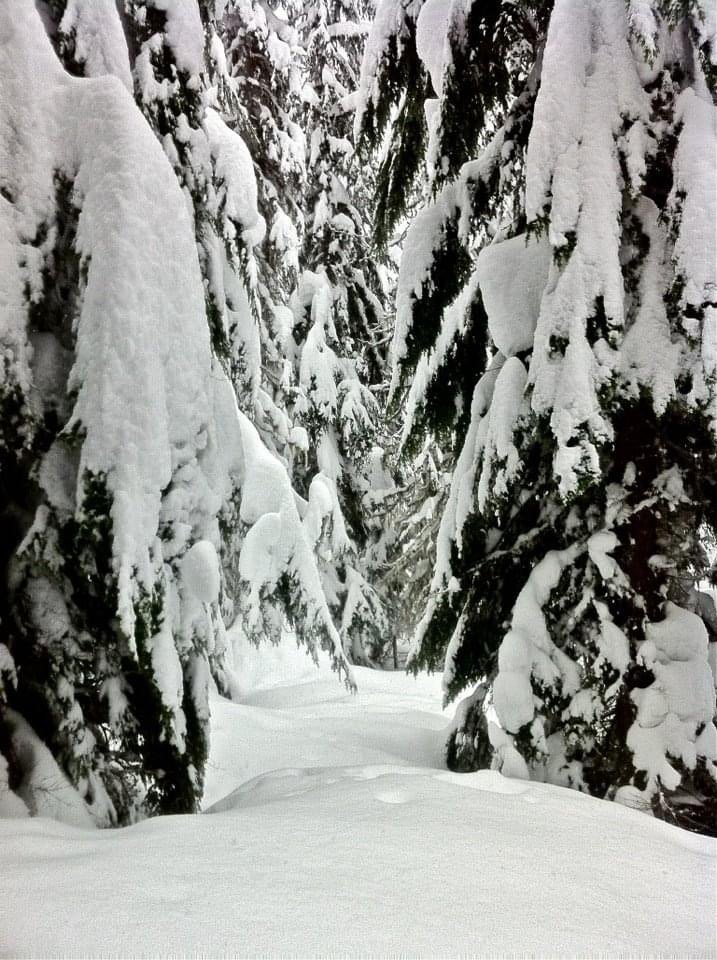 Deep base. Photo: Anna Lochhead. Revelstoke