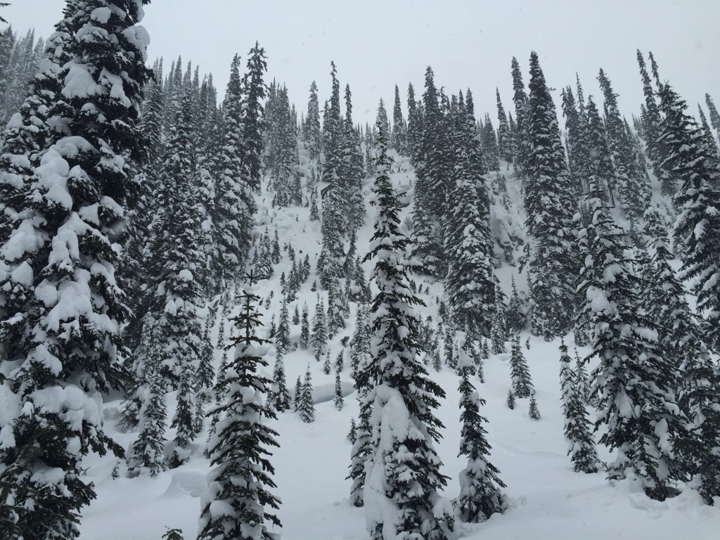 Amusing pillow lines. Photo: Sergei Poljak. Revelstoke