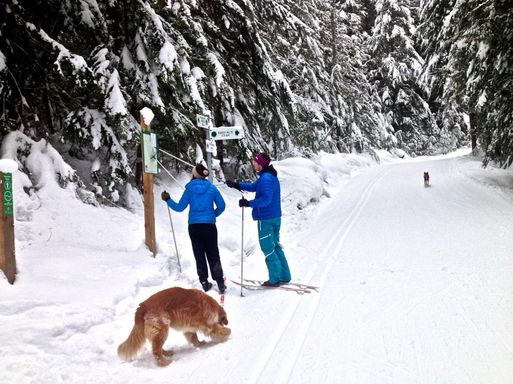 The Nordic Club. Photo: Anna Lochhead. Revelstoke