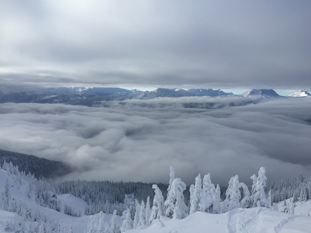 Snow ghosts on the upper mountain. Photo: Sergei Poljak. Revelstoke