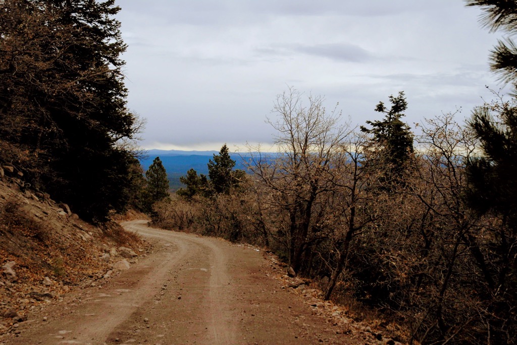 Road from Bill Williams mountain, Juniper Mountains, Arizona, USA