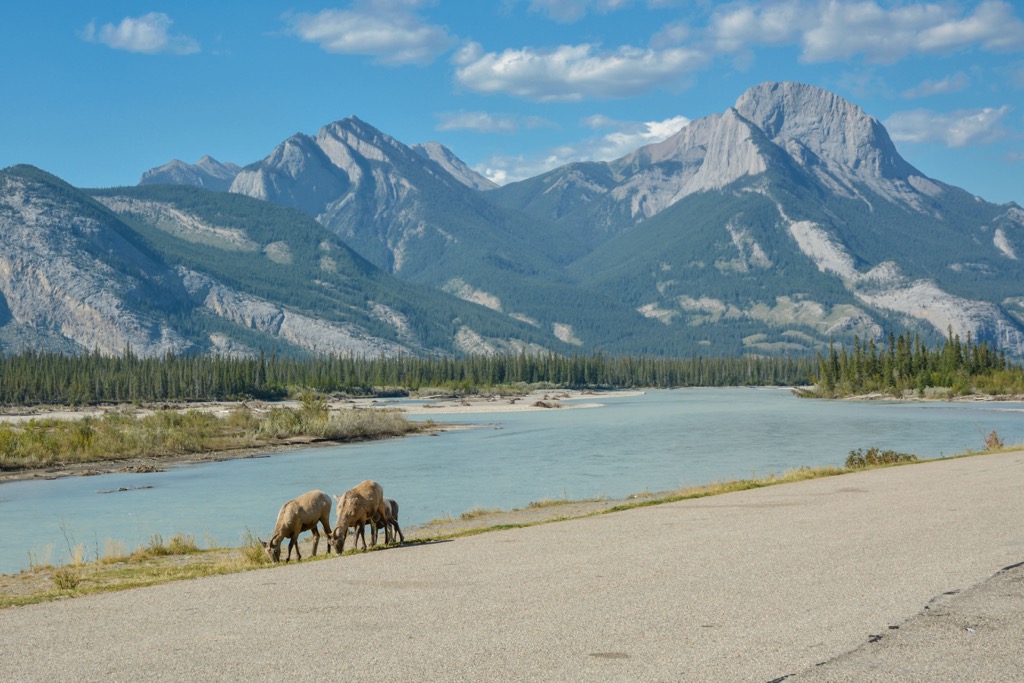 Roche à Bosche and Roche Ronde, Bosche Range, Alberta, Canada