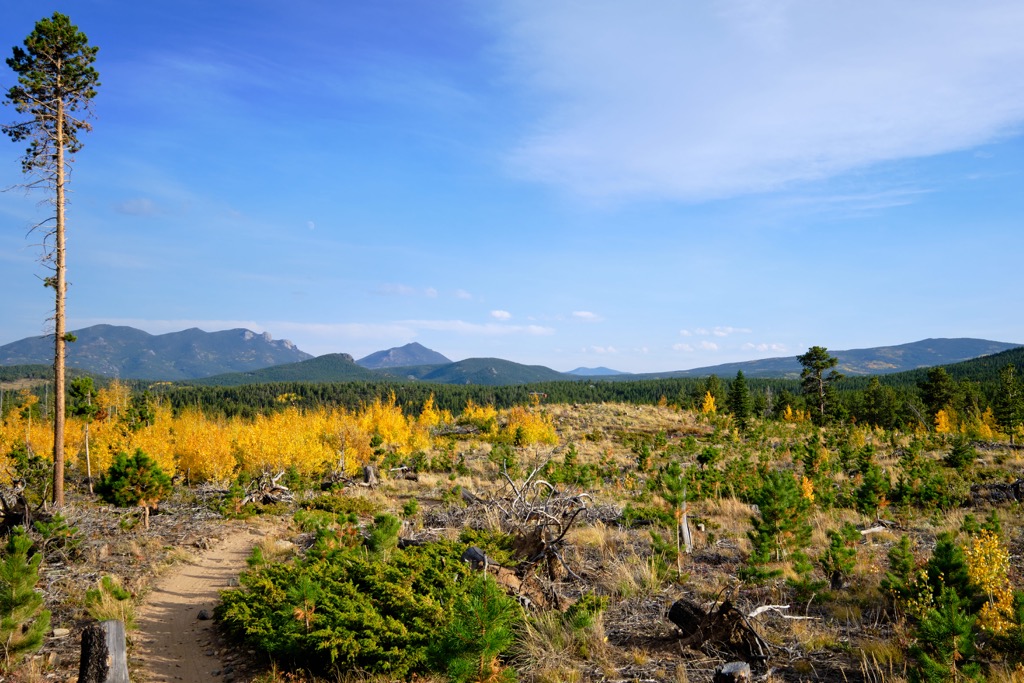 Roosevelt National Forest, Colorado, USA