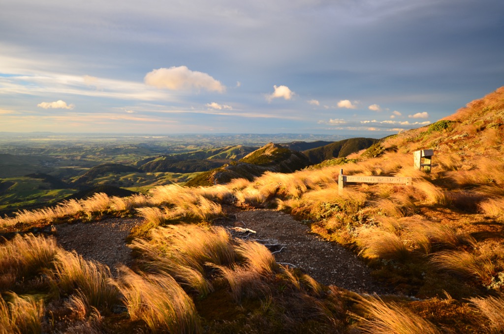 Sunrise Hut Track, Ruahine Range, New Zealand